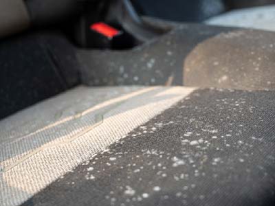 imgs_Mold Elimination imgs_Mold Elimination